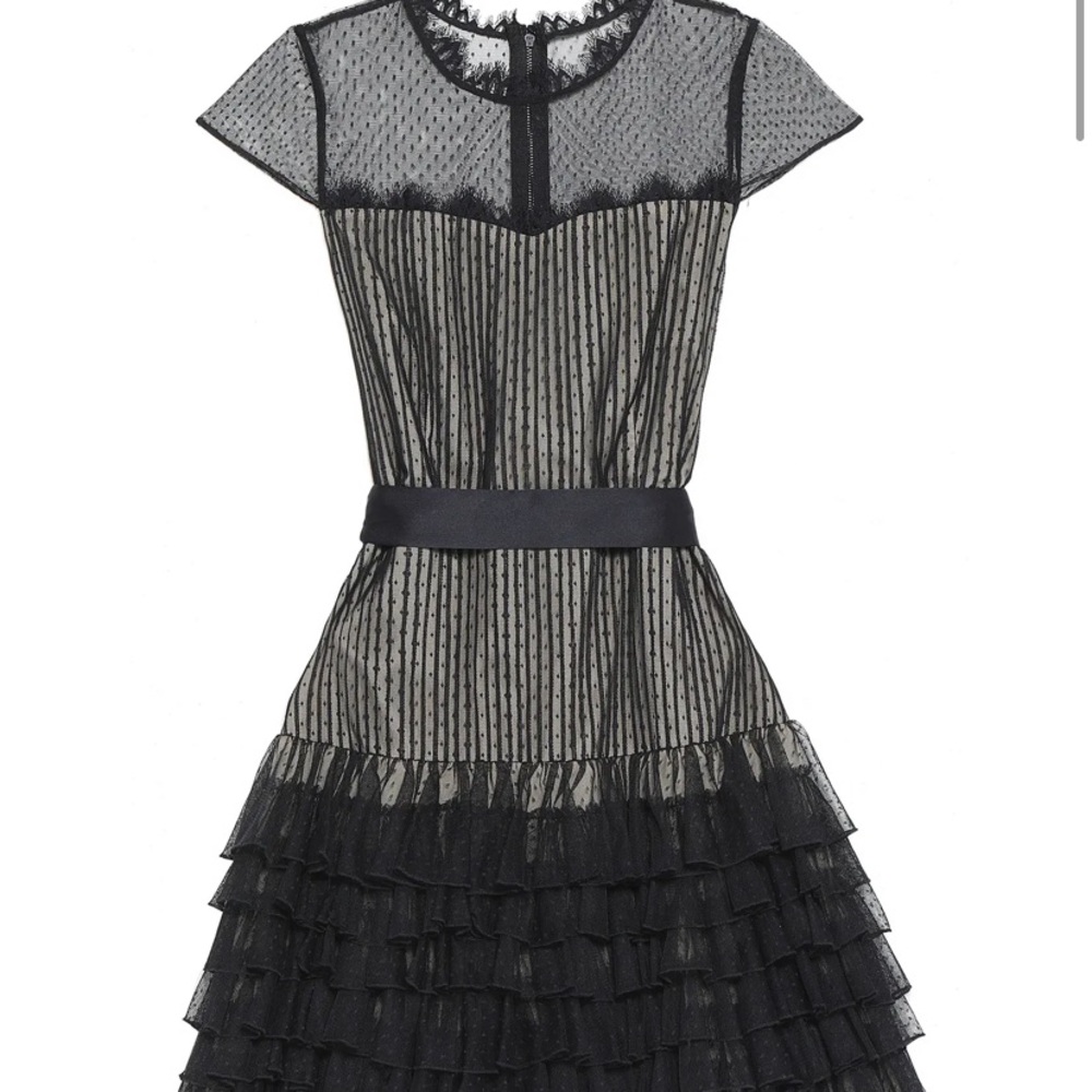 Alice + Olivia Black and Cream Mini Dress
